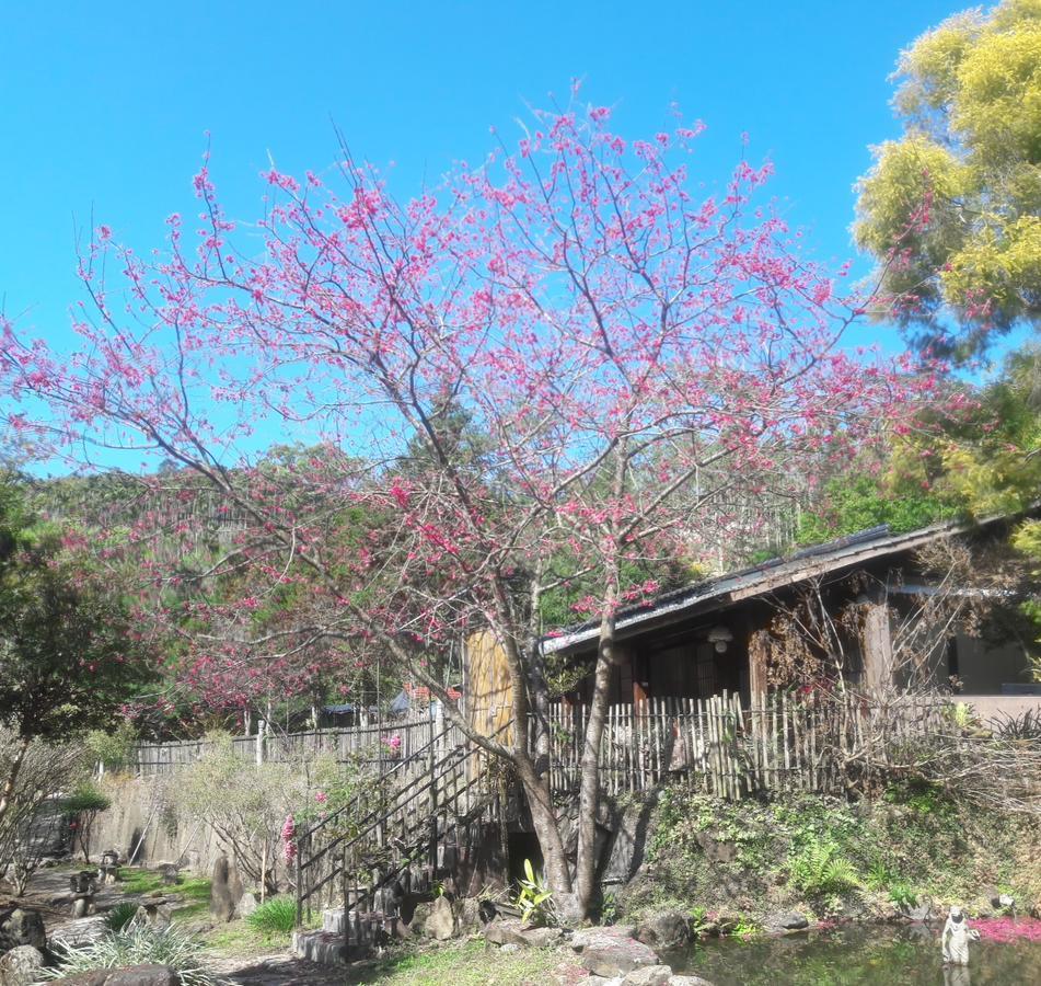 Bright Moon Homestay Dongshi  المظهر الخارجي الصورة