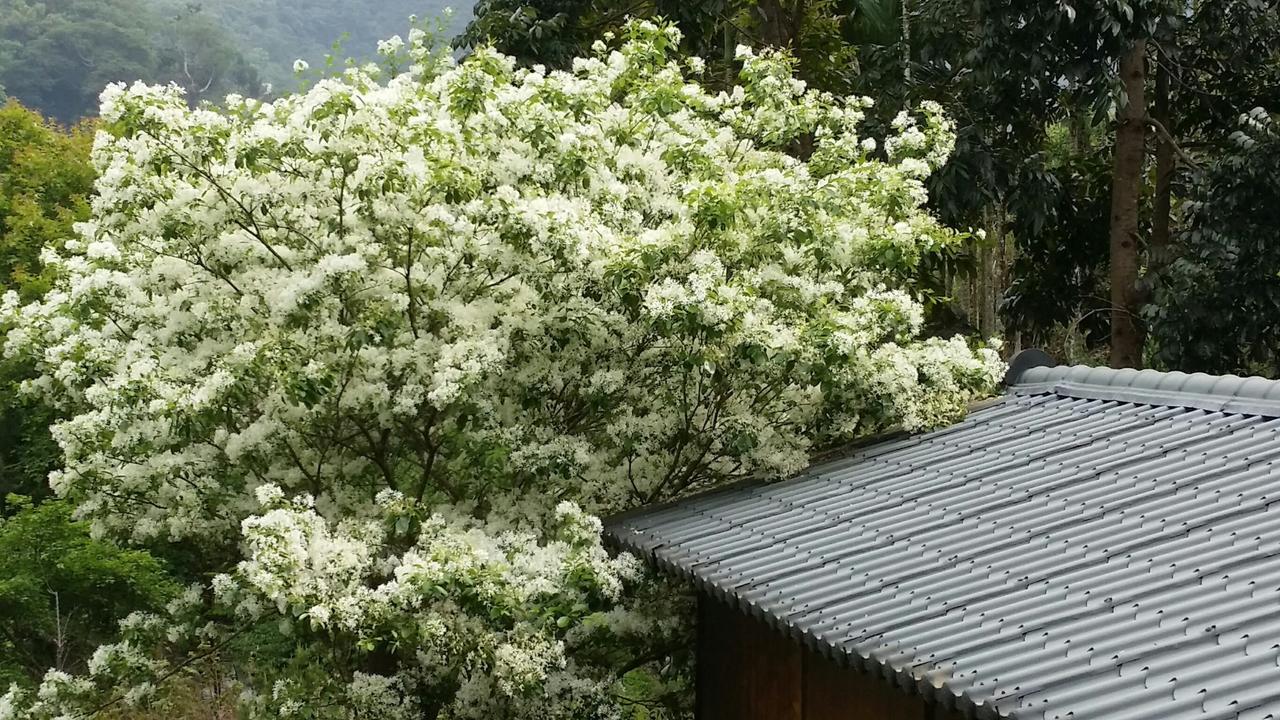 Bright Moon Homestay Dongshi  المظهر الخارجي الصورة