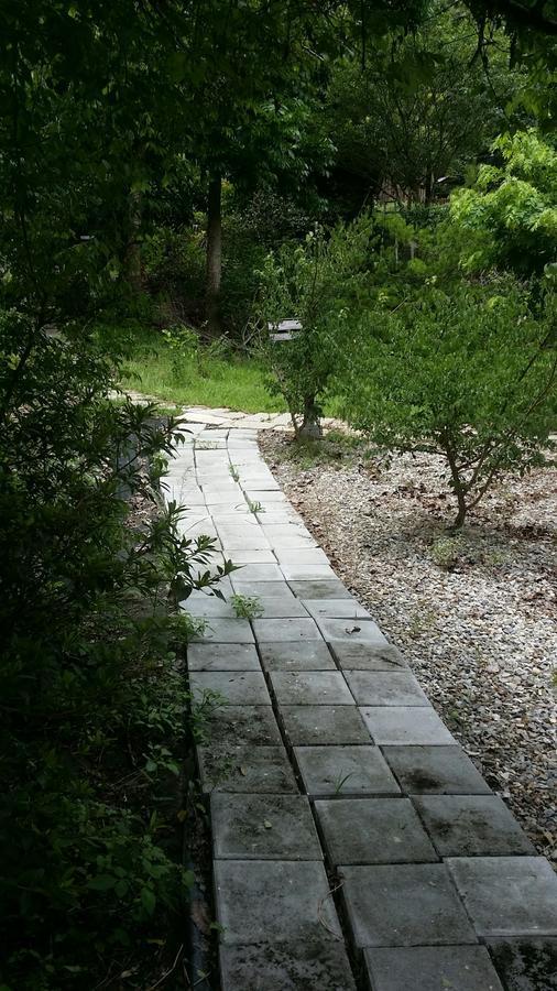 Bright Moon Homestay Dongshi  المظهر الخارجي الصورة