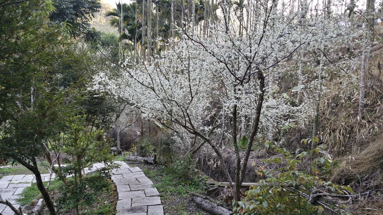 Bright Moon Homestay Dongshi  المظهر الخارجي الصورة